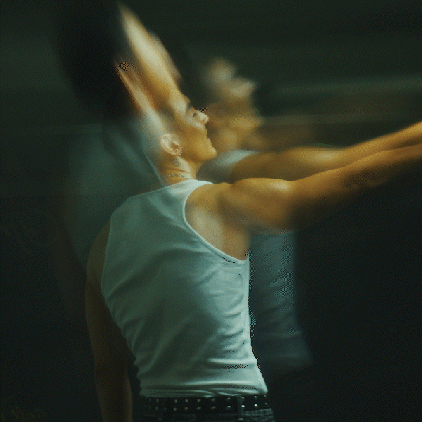 Handheld Spectre FX Filter